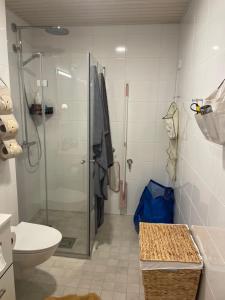 a bathroom with a shower and a toilet at 1 studio seaview kalasatama Helsinki in Helsinki