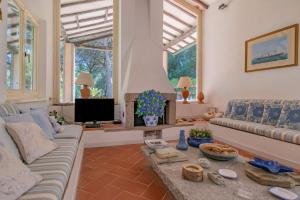 a living room with a couch and a tv at Villa Thalèa Fetovaia in Fetovaia