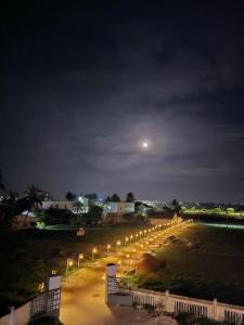 a row of street lights in a field at night at Mom's house Lý Sơn in An Vĩnh Phướng +10 photos