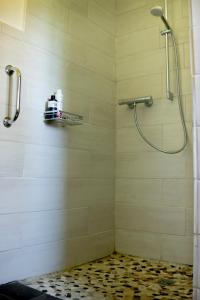a shower stall with a shower head in a bathroom at Anna's Landhaus in Soltau +14 photos