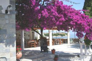 un arbre aux fleurs violettes devant un bâtiment dans l'établissement Imerolia Studios, à Kassiopi