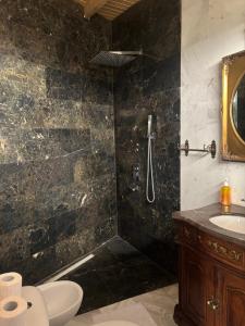 a bathroom with a shower and a toilet and a sink at Canada Castle in Eforie Nord +82 photos