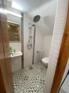 a bathroom with a shower and a sink and a toilet at kelibia in Kelibia +3 photos