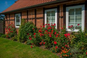 a house with red flowers in front of it at Steins Hof in Suderburg