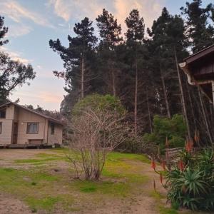 a view of a house from the yard at Posada Kalku in El Tabo