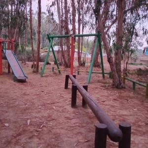 a group of swings in a park with trees at Posada Kalku in El Tabo +17 photos