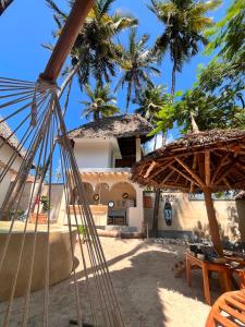 a resort with chairs and umbrellas on the beach at Jambiani Kite Lodge in Jambiani
