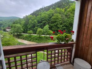 a balcony with a vase with red flowers on it at Apartament Salcia Slanic Moldova in Slănic-Moldova