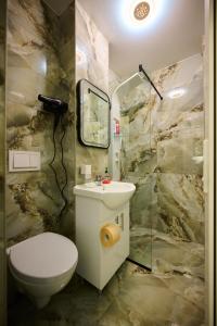 a bathroom with a toilet and a sink and a shower at Apartament Aleea Școlii in Haţeg