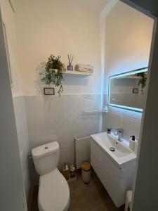 a white bathroom with a toilet and a sink at Steins Hof in Suderburg