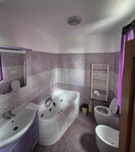 a bathroom with a tub and a sink and a toilet at Casa Salcia Oituz in Oituz +59 photos