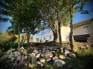 a house with trees and rocks in the yard at Lofoten Light - Private Rooms with Shared Facilities in Gravdal