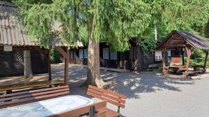 a group of wooden buildings with a tree and benches at Ferienzentrum Briesensee in Neu Zauche