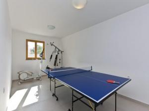 Stolný tenis v ubytovaní Villa Palatium I alebo v jeho okolí