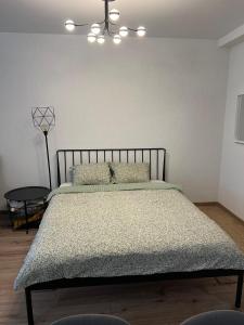 a bedroom with a large bed with a lamp at Dimo Cozy Apartments Chisinau Moldova Centre Airport in Chişinău