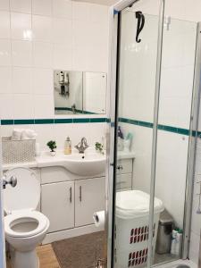 a bathroom with a toilet and a sink and a shower at Studio - Sleeps 2 - Wifi - Parking in Dunstable