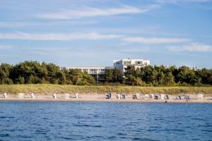 a beach with white chairs and buildings in the background at Strandhotel Fischland in Dierhagen