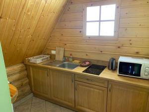 a kitchen with a microwave and a sink in a cabin at Pod Grzybkiem in Zawady