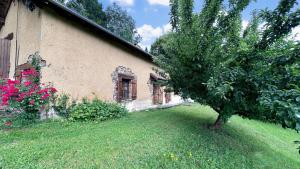 a house with a tree in front of a yard at Sous les serves in Saint-Léonard-de-Noblat +25 photos