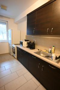 a kitchen with a sink and a refrigerator at Fürdőkerti Ifjúsági Szálló in Hajdúböszörmény