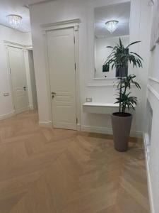 a hallway with a potted plant and a mirror at Casa de prime in Baku +22 photos