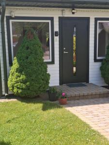 a house with a black door and a tree at Pakeliui I -On the way I in Baltrušaičiai