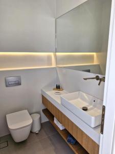a bathroom with a sink and a toilet and a mirror at Villa Maniati Chrissi Ammos in Agios Petros