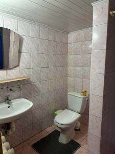a bathroom with a toilet and a sink at River Side Retreat in Slavske +32 photos