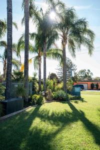 a group of palm trees in a yard with grass at Sunrise Motel in Barooga