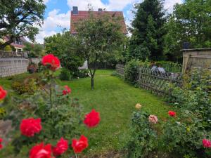 a garden with red roses and a fence at Ferienwohnung Rückerts Gartenblick in Nordhausen