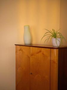 two vases sitting on top of a wooden cabinet at Das Wilde 70er in Dobritz