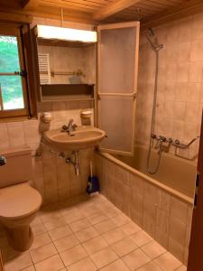 a bathroom with a toilet and a sink and a shower at Chalet Castor in Les Diablerets +6 photos