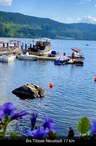 a group of boats in a lake with purple flowers at Appartment im Schwarzwald in Furtwangen