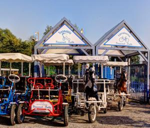 a horse pulling a horse drawn carriage in front of a gate at Appartement Briesenick-Radde in Tossens +8 photos