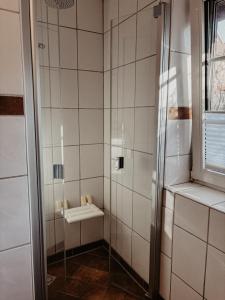 a bathroom with a shower with a sink at Ankerplatz in Leer +22 photos