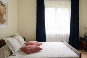 a bedroom with a bed with pillows and a window at Zofija in Birštonas