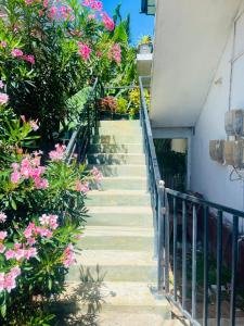 a set of stairs with pink flowers and plants at Blue Heaven in Mannar +5 photos