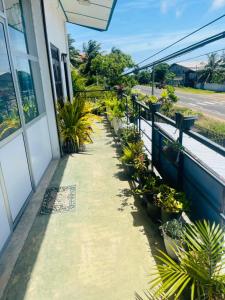 a walkway in front of a building with potted plants at Blue Heaven in Mannar