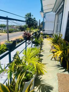a sidewalk with potted plants on the side of a building at Blue Heaven in Mannar