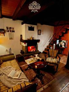 a living room with a couch and a fireplace at Distrikt Ranč Platan - Jus naturale, Fruška gora in Vrdnik