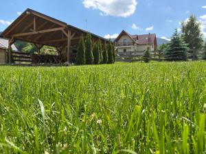 a field of green grass with a house in the background at Osada Karkonoska in Kowary