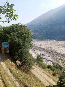 a tree on a dirt road next to a body of water at Wildwood Cabins Manali in Kulu