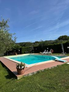 a swimming pool in a yard with a wooden deck at Le Coccole Del Trasimeno in Tuoro sul Trasimeno