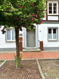 a tree in front of a house with pink flowers at Elbsleep in Dömitz +36 photos