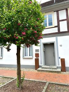 a tree in front of a house with a garage at Elbsleep in Dömitz