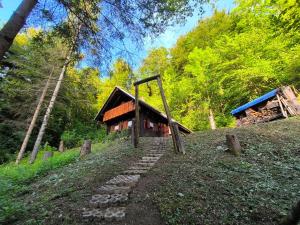 a small wooden cabin on a hill with a path leading to it at Brunarica Marička in Idrijska Bela