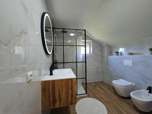 a bathroom with a sink and a toilet and a mirror at Villa Aylin in Bihać +81 photos