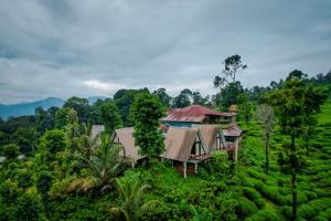 an aerial view of a house in the jungle at The Breeze Cottage in Kalasa