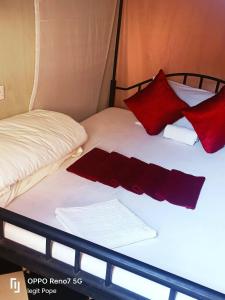 Llit o llits en una habitació de Dignitaries hotel
