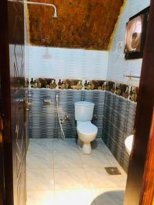 a bathroom with a toilet and a sink in a room at Reef Beach Camp in Nuweiba